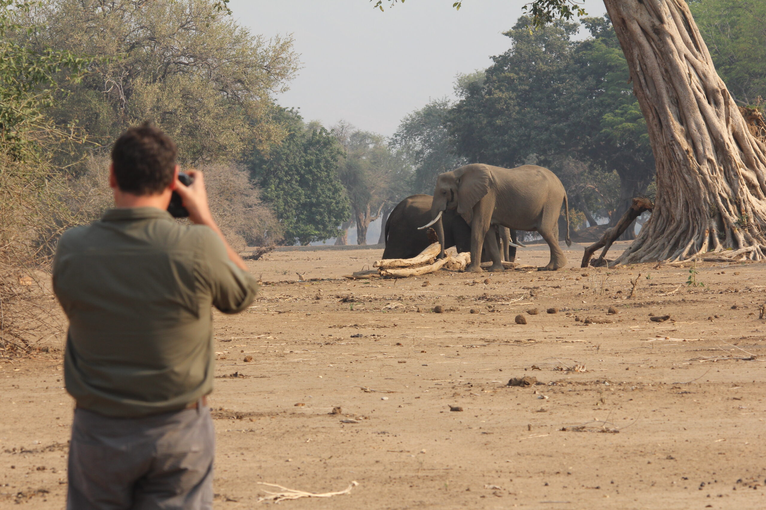 Capturing the Beauty of Mana Pools from Molori Mashuma